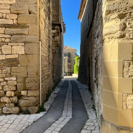 Le Chateau De Blauzac (Gard)